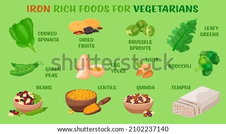 Iron rich foods for vegetarians - kale, broccoli, Brussels sprouts, peas, cooked spinach, quinoa, nuts, tempeh, lentils. Vector illustration isolated on a light green background. Healthy food poster
 Royalty-Free Stock Photo #2102237140