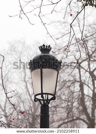 Empty park with vintage lanterns trees covered by white snow. Winter season landscape. Atmospheric city street photo snowy day. Wintertime walk cold weather frost scene.