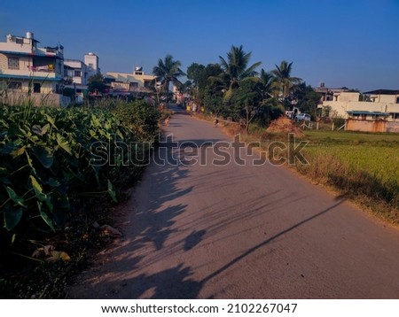 Stock photo of empty asphalt road surrounded by green tree, plants and farmland going toward Indian village. Picture captured under bright sunlight at Kolhapur, Mahrashtra, India. sunny day.