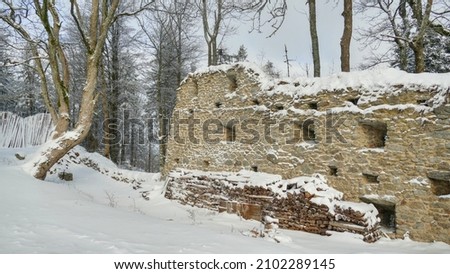 Zřícenina hradu na vrcholu kopce v horském  zasněženém lese