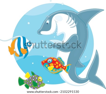 Funny and playful shark playing with colorful tropical fishes in warm waters of an exotic coral reef, vector cartoon illustration isolated on a white background