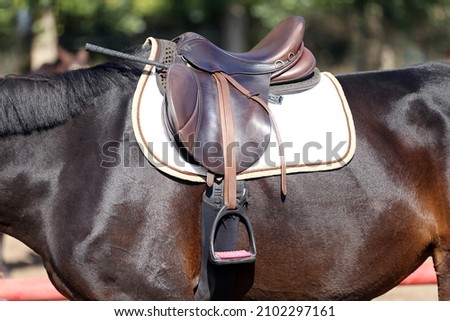 Close up of a sport horse saddle. Old quality leather saddle ready for show jumping  event. Equestrian sport background outdoors Royalty-Free Stock Photo #2102297161