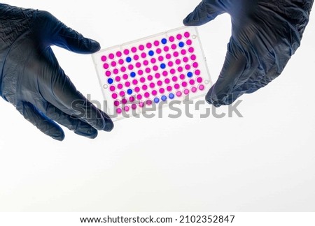 Enzyme-linked immunosorbent assay (ELISA) 96 well micro plate, Immunology or serology testing method in science medical laboratory Royalty-Free Stock Photo #2102352847