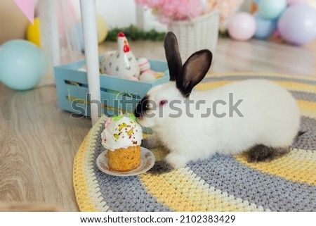 Easter - Cute Bunny eat easter cake