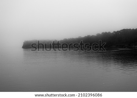 Foggy Woods on lake black and white 