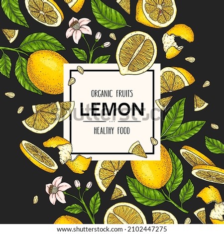 Vector hand drawn background with lemon. Legumes plant drawing with whole lemon, slices pieces, half, flower and leaves on dark background. Natural botanical lineart illustration. Citrus fruits sketch