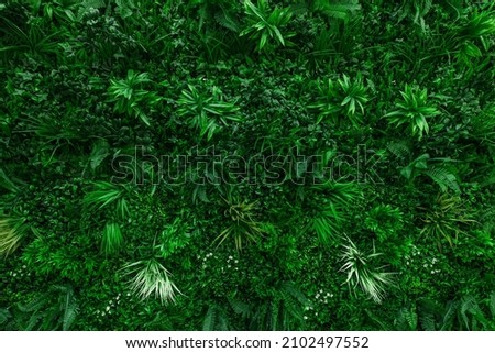 Artificial vertical green garden decoration on the wall for nature background. Texture of small artificial green leaves plants and flowers, plastic. Ecology, green world, environmentally friendly  Royalty-Free Stock Photo #2102497552