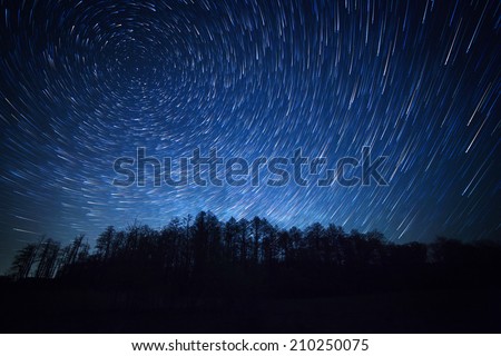 night sky, star trails and the forest Royalty-Free Stock Photo #210250075