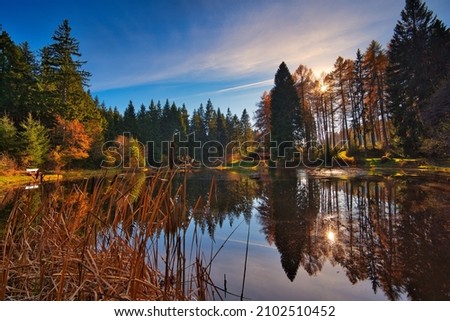 A Beautiful scene of autumn landscape and a forest with colorful trees reflected on a lake