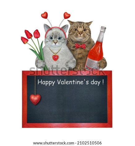 Two cats in love are near a blank blackboard. Happy Valentines day. White background. Isolated.