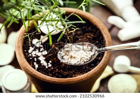 food scraps used as compost, eggshell as plant root vitamin Royalty-Free Stock Photo #2102530966