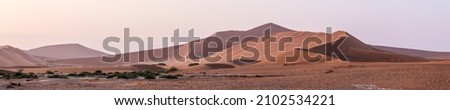 Panoramic landscape of Namib desert with biggest sand dunes of Sossusvlei valley, Namib. Serenity scene in a desert at sunrise. Muted palette of pastel tints with calming coral, pink and dusty yellow.