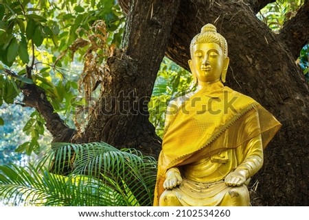 Golden Buddha statue in the temple Thailand.