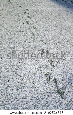 The football field with artificial green grass is covered with a light layer of snow with traces of soles. Green grass on the football field is visible from under the snow. Amateur football field.