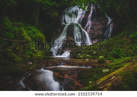 Peaceful Waterfall in the Woods