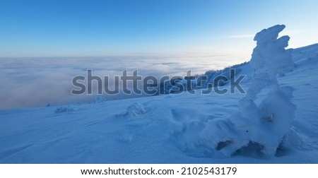 Winter mountain landscape. Fully covered with snow tree on top of the mountain.