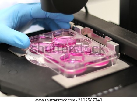 Researcher studying cells in the Cell Biology laboratory Royalty-Free Stock Photo #2102567749