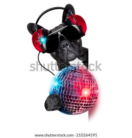 dj dog listening to music behind an empty and blank banner with a fancy disco ball and lights