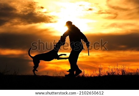 Protective section with a dog, a dog attacks a helper against a sunset background	
 Royalty-Free Stock Photo #2102650612