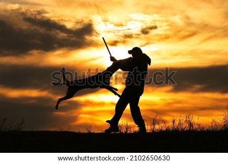 Protective section with a dog, a dog attacks a helper against a sunset background	
 Royalty-Free Stock Photo #2102650630