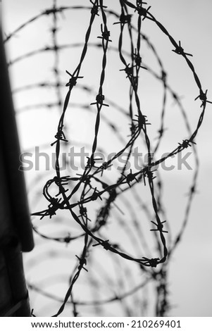 Barbed wire on dark fence