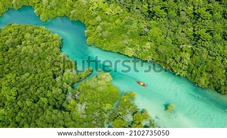 A bird's-eye view of a woman kayaking alone in a mangrove forest on the Andaman coast on her vacation at Phi Phi Island, Thailand Royalty-Free Stock Photo #2102735050