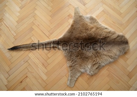 Kangaroo skin lying on a parquet floor; the use of leather as decorative interior elements is controversial