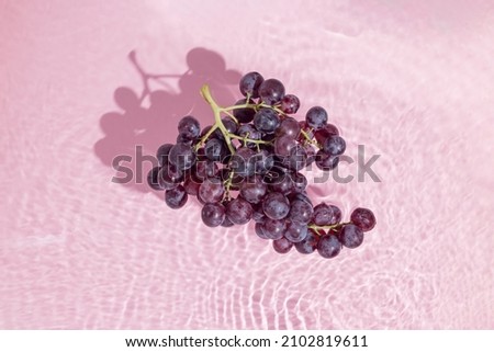 Black muscat grapes stand in water on pastel pink-purple background. Natural, healthy, antioxidant resveratrol and vitamins source. Fruit concept. Minimal flat lay. Organic agriculture production. Royalty-Free Stock Photo #2102819611