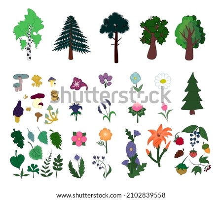 A set of stylized cartoon-style nature. Berries, acorn, walnut, pine cone, strawberry, raspberry, mountain ash . Trees are Christmas tree, spruce, birch, pine, oak. Mushrooms, tree leaves.
