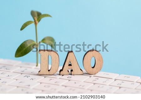 Decentralized Autonomous Organization. Green plant, word DAO, white keyboard. on blue background