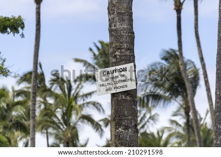 Caution "Beware of falling coconuts and fronds" warning sign, Hawaii