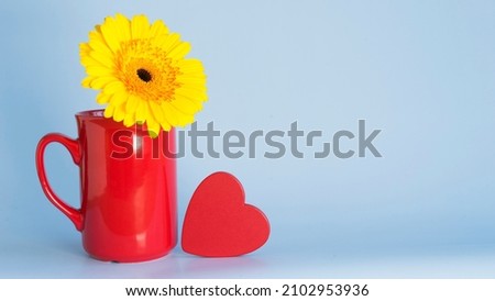 Red cup with yellow gerbera