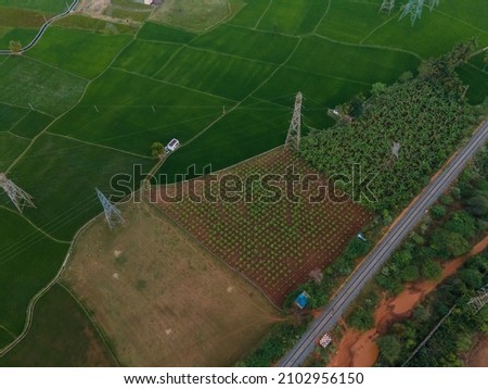 drone shot aerial view top angle beautiful sunset photo of paddy fields cultivation agricultural lands ruralscape india tamilnadu madurai railway track symmetrical forest 