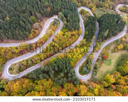 Stunning aerial view of road with curves crossing dense forest in autumn colors in Bulgaria. High quality photo