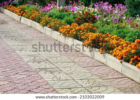 A very beautiful flower bed in the urban environment of the city. Flowers and greenery in landscape design. Background with copy space for text or inscriptions. Royalty-Free Stock Photo #2103022009