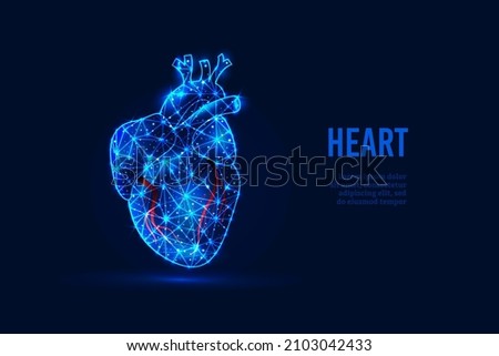 Abstract low-polygonal human heart, created from dots, triangles, lines. Anatomy, medicine. Shining blue background. Vector illustration Royalty-Free Stock Photo #2103042433