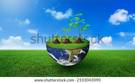 Plants of different sizes on half sphere with green grass on. Nature and Blue sky Background. Environmental stewardship, World Environment Day, and Saving environment Concept. Image furnished by NASA.