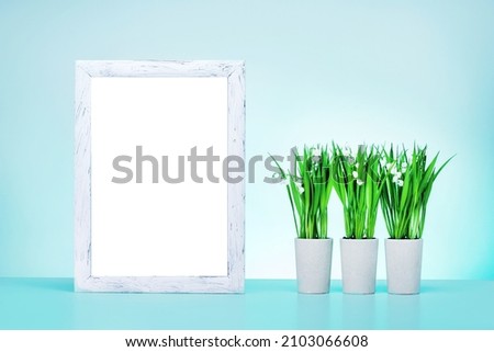 Photo frame, spring flowers in pots on mint blue background. Valentines day, mothers day, womens day, spring concept.