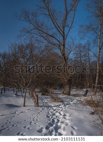 Just a photo of fields and river shores under light anow in snowfall