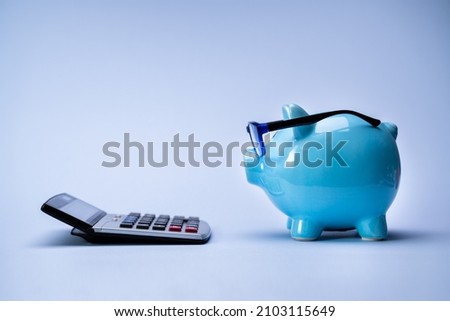 Budget And Financial Advice. Piggy With Calculator Royalty-Free Stock Photo #2103115649