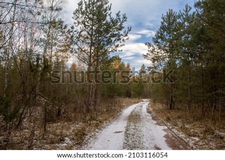 Winter landscape with fair trees under the snow.  Path in the forest
