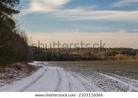 Winter landscape with fair trees under the snow.  Path in the forest