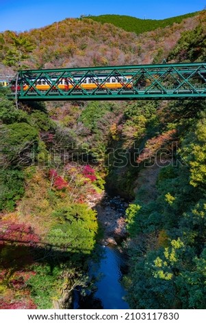 Deyama Iron Bridge and Autumn Leaves Crossing the Hayakawa Gorge