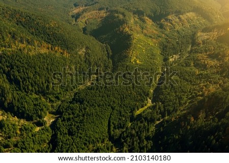 Aerial view of mountains covered with forest on sunny day. Drone photography