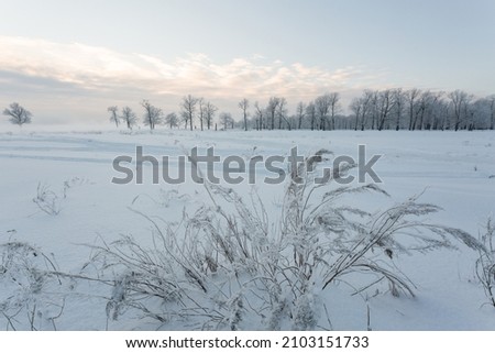 winter landscape, frozen trees, snowy view, beautiful winter Royalty-Free Stock Photo #2103151733