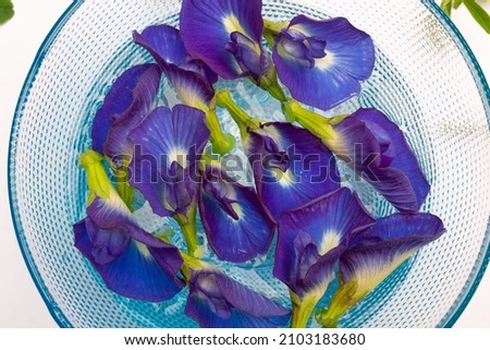 Composition of butterfly pea flower with green leaves
