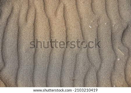Texture of fine sand from the southern coast of Sicily in Italy
