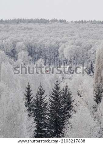 Pine and deciduous trees covered with snow on frosty morning. Beautiful winter view. houses in the winter forest. Vertical orientation.