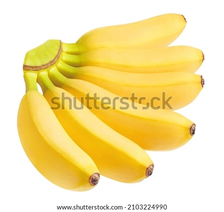 Baby bananas, isolated on white background Royalty-Free Stock Photo #2103224990