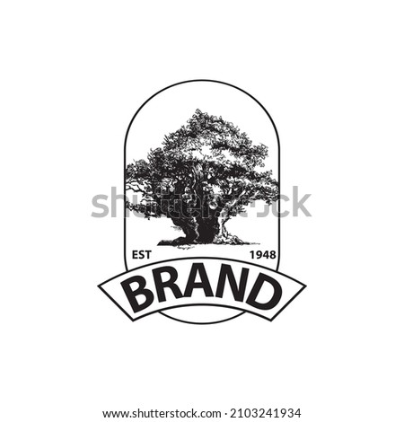 Ancient oak tree logo design
